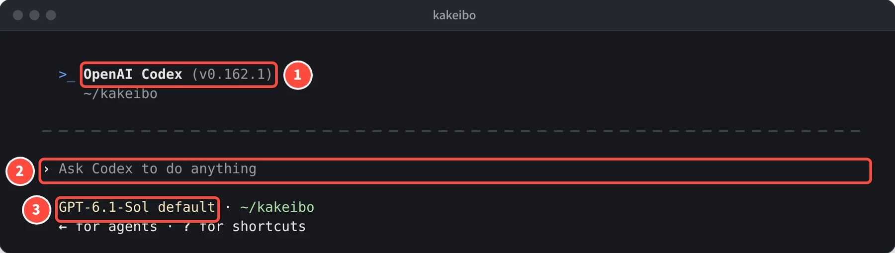 ターミナルに OpenAI Codex (v0.162.1) と ~/kakeibo が表示され、Ask Codex to do anything の入力欄と GPT-6.1-Sol default が出ている