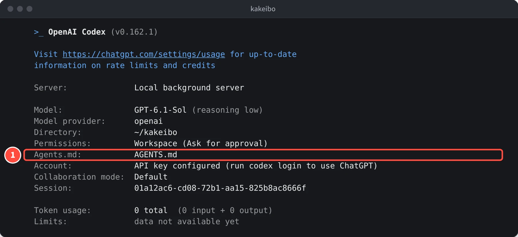 /status の画面で、Permissions の下の Agents.md: の行に AGENTS.md と表示されている