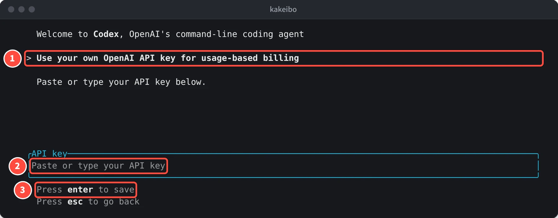 Use your own OpenAI API key for usage-based billing と表示され、API key の欄に Paste or type your API key とある。その下に Press enter to save と Press esc to go back