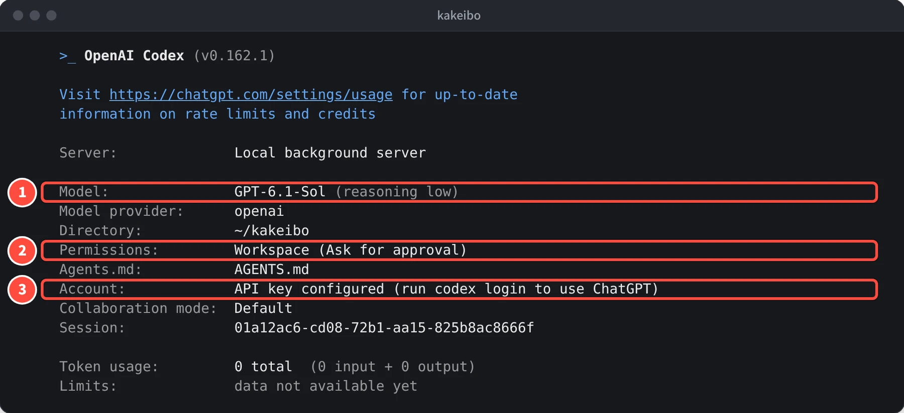 /status の画面に Model: GPT-6.1-Sol (reasoning low)、Directory: ~/kakeibo、Permissions: Workspace (Ask for approval)、Agents.md: AGENTS.md、Account: API key configured などが並んでいる