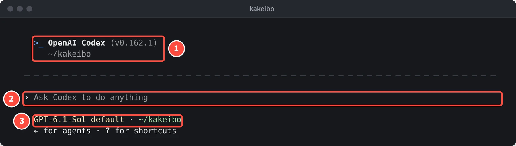 ターミナルに OpenAI Codex (v0.162.1) と ~/kakeibo、入力欄に Ask Codex to do anything、その下に GPT-6.1-Sol default · ~/kakeibo と表示されている
