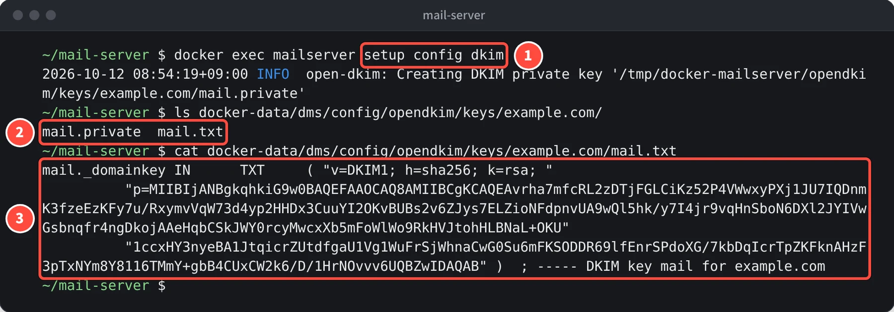 docker exec mailserver setup config dkim を実行すると、Creating DKIM private key と表示される。ls で mail.private と mail.txt が見える。cat mail.txt で、mail._domainkey IN TXT v=DKIM1; h=sha256; k=rsa; p= に続く公開鍵が表示される